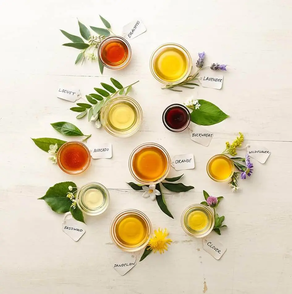Downward facing shot of 10 dishes of honey, all various colors, with labels indicating which flower each honey comes from